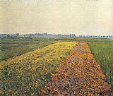 The Yellow Fields at Gennevilliers by Gustave Caillebotte
